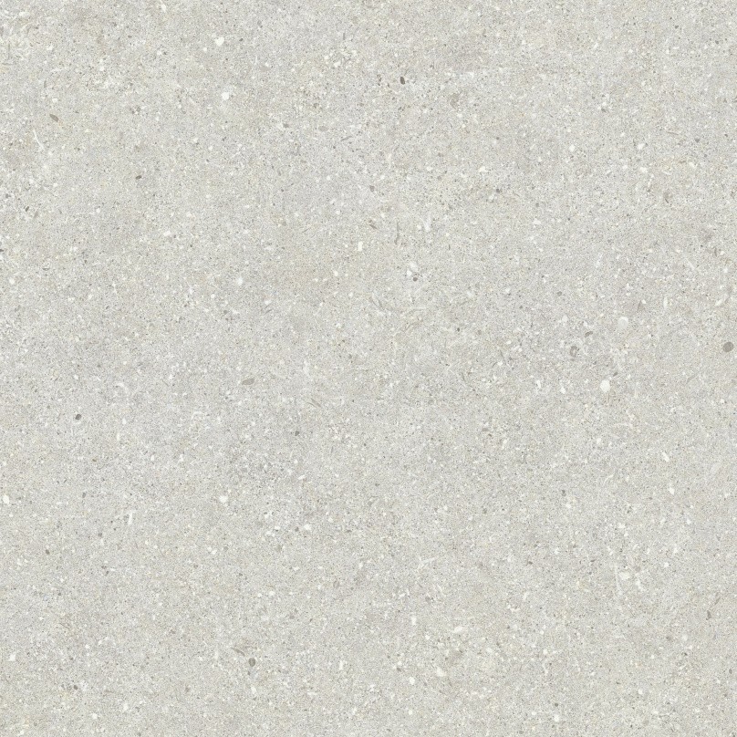 Carrelage Aspect béton Bruch gris clair antiderapant R-11 60x60 cm